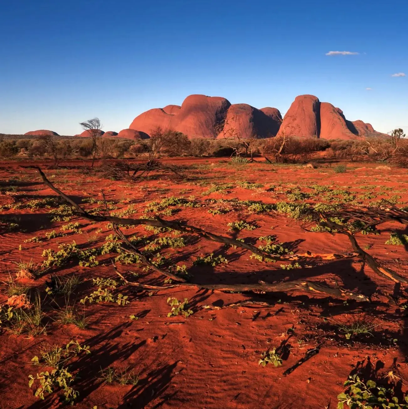 Should I Base Myself in Yulara