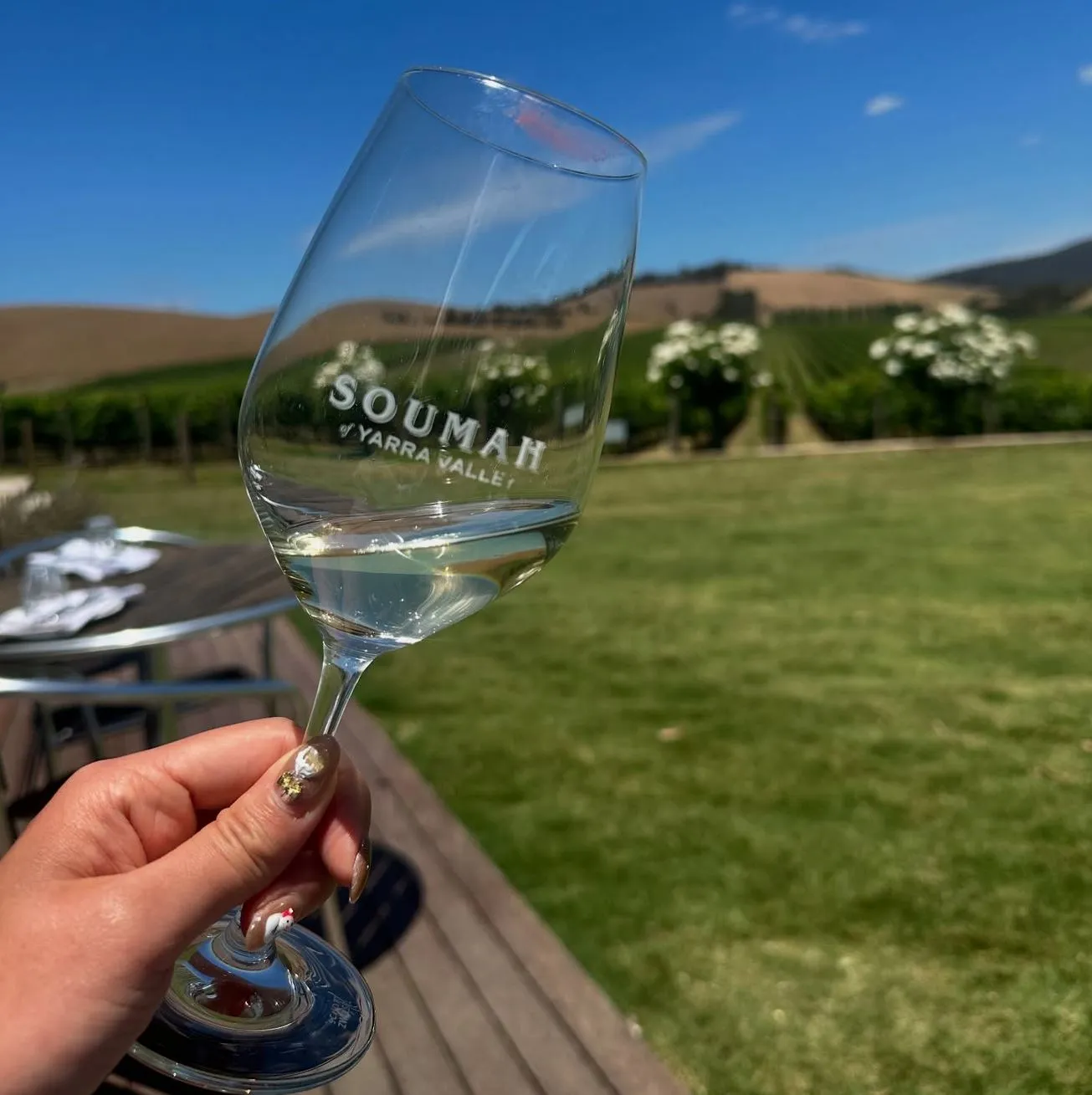 Yarra Valley Winery Tours & Transport